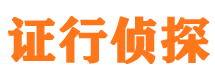 大城侦探公司